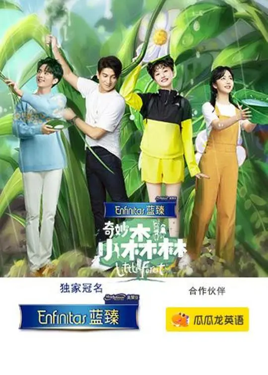 奇妙小森林 海报