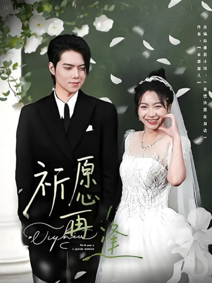 《祈愿再逢》：一段跨越时空的爱恋，感动催泪，让你相信奇迹真的存在！