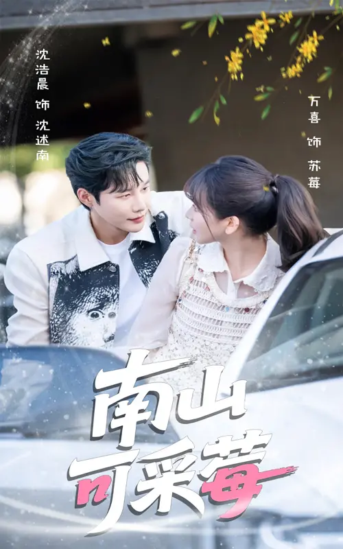 《南山可采莓》：一段关于救赎与和解的母女情感旅程，治愈你的心灵！